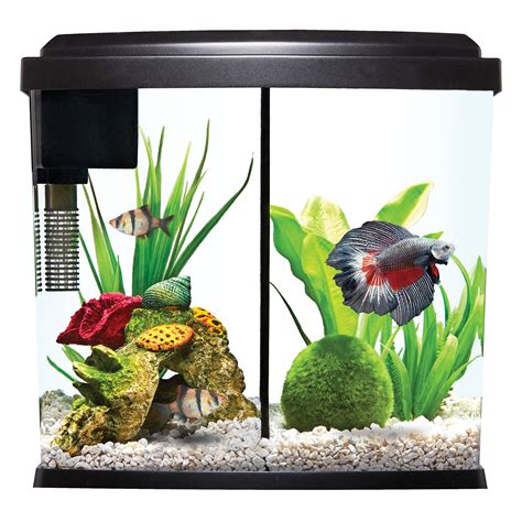 I&39;ve noticed the Top Fin starter aquariums have a specific lighting setup that has got me puzzled. . Fish tank top fin